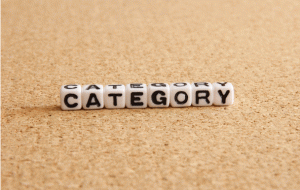 THE THORでカテゴリーなどのアーカイブページをnoindexにするカスタマイズ