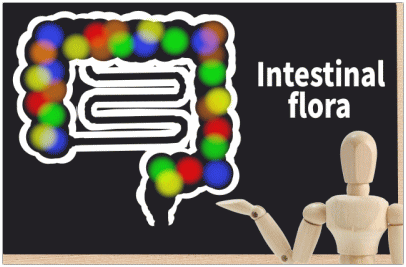 腸内環境を整える