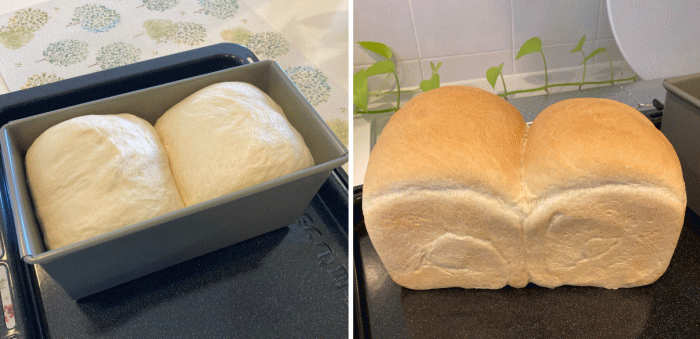 はじめて作った食パン